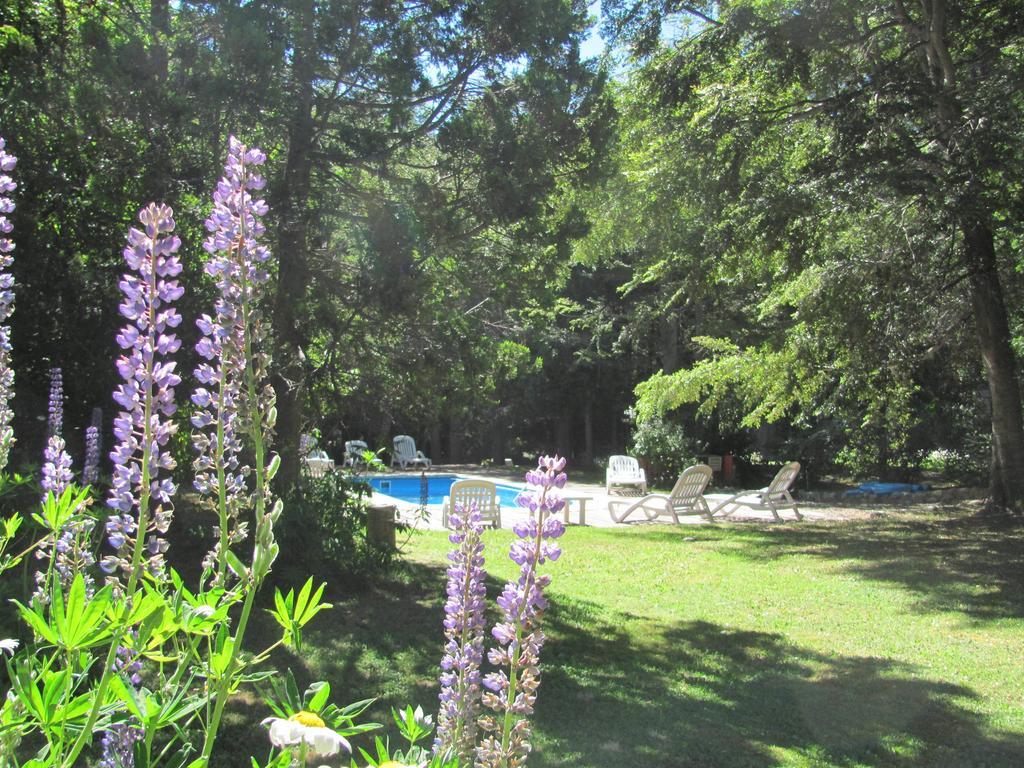 Hosteria Pichi Rincon Villa La Angostura Kültér fotó
